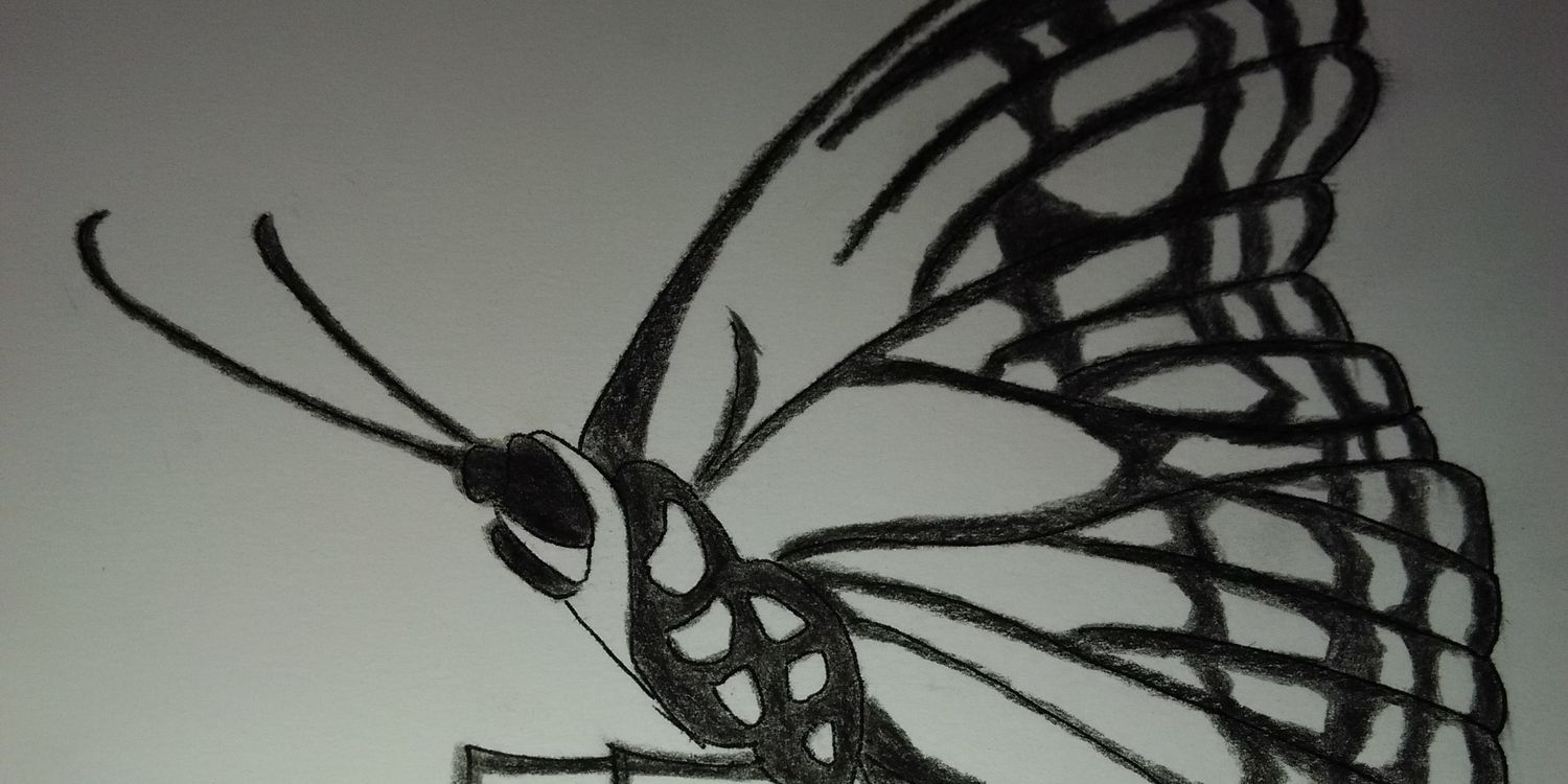 Ranxeta's profile banner image