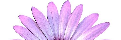 DaisyFay_28's profile banner image