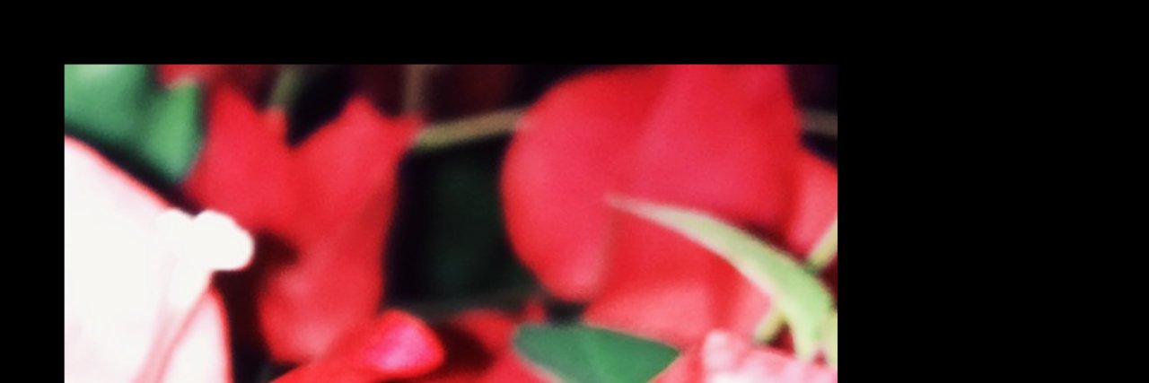 LANYnews's profile banner image