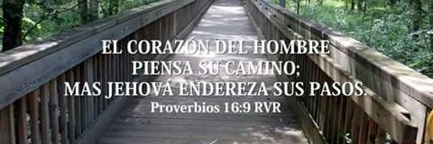 HugoSegundo7's profile banner image