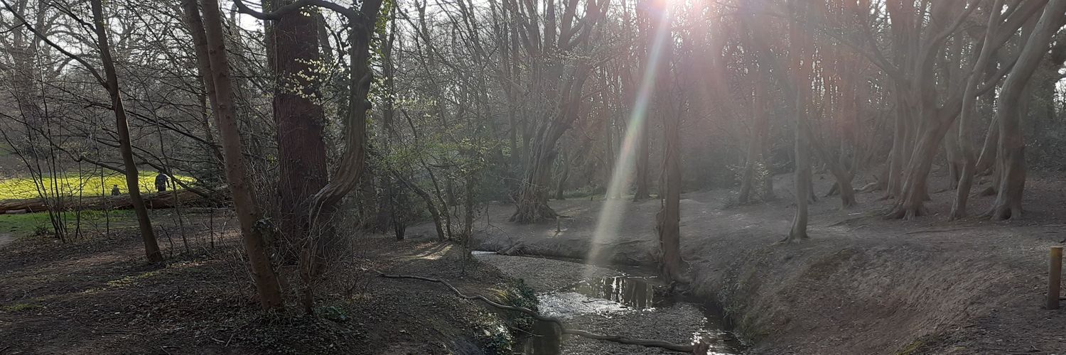 Dr Jansev Jemal banner