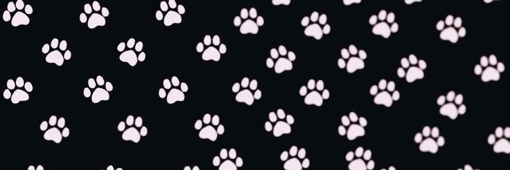 ivyvxo's profile banner image
