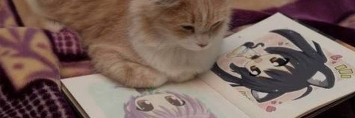 omegle4ever's profile banner image