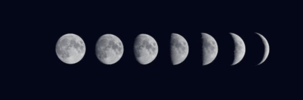mandicsf's profile banner image
