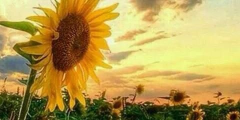 peggyjmc's profile banner image