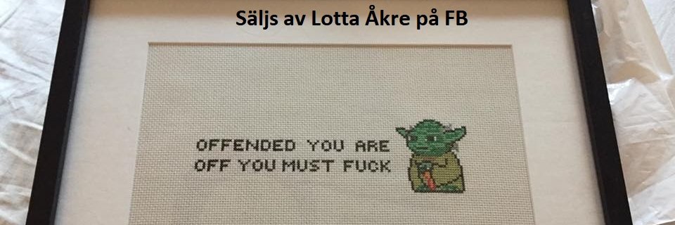 mikaelodoris's profile banner image