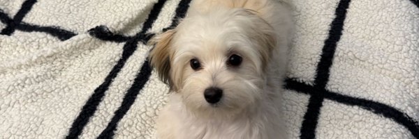 athxna Profile Banner