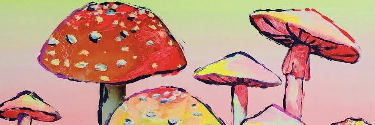 brookbhatti's profile banner image