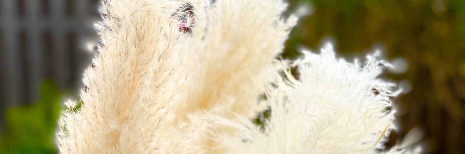 Miskay29's profile banner image