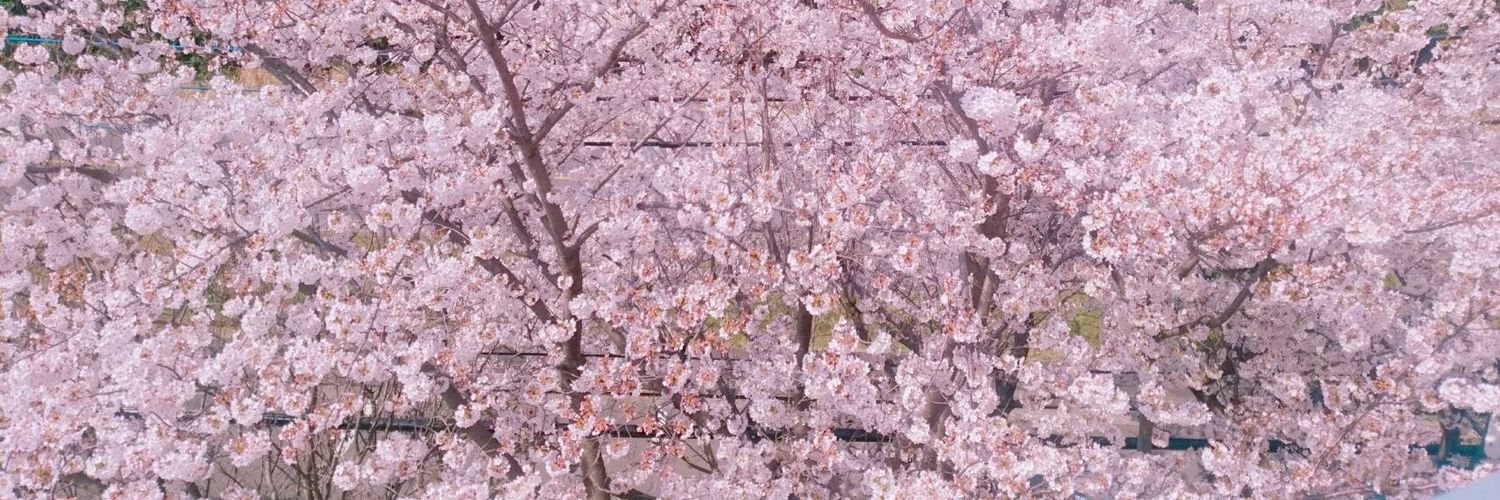 tmya1111's profile banner image