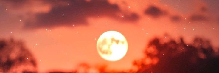 Layane_Brito's profile banner image