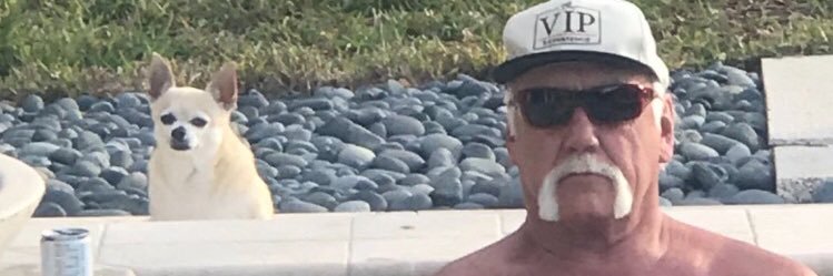 dantheris's profile banner image