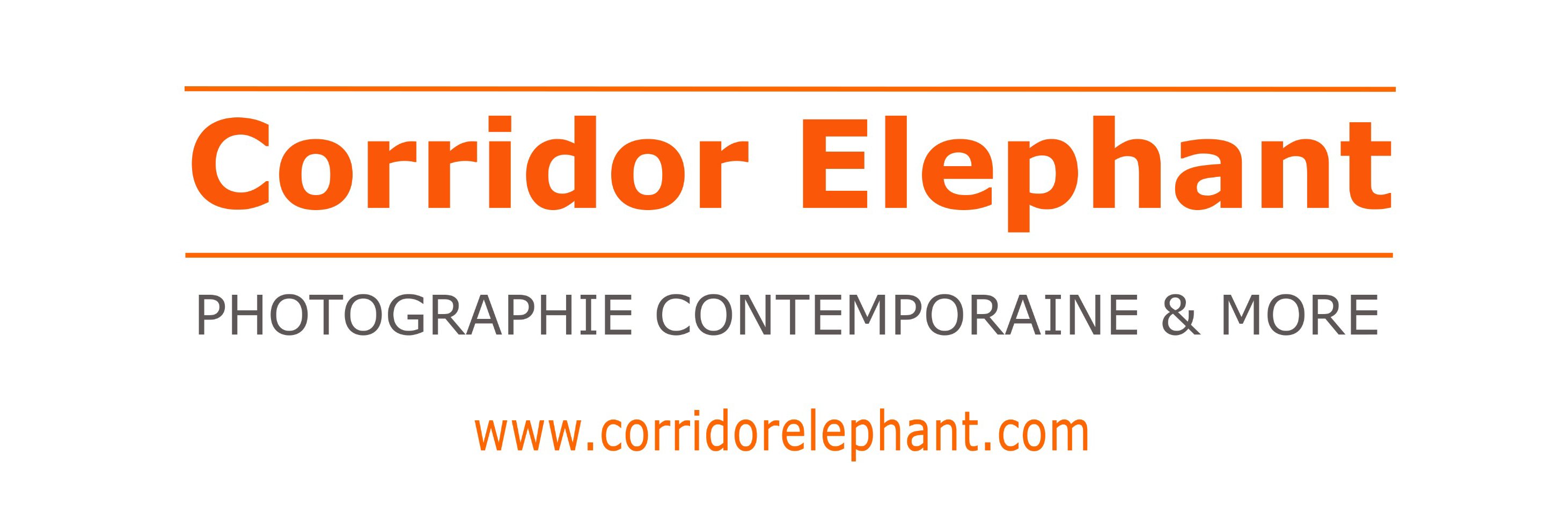 Corridor Elephant banner