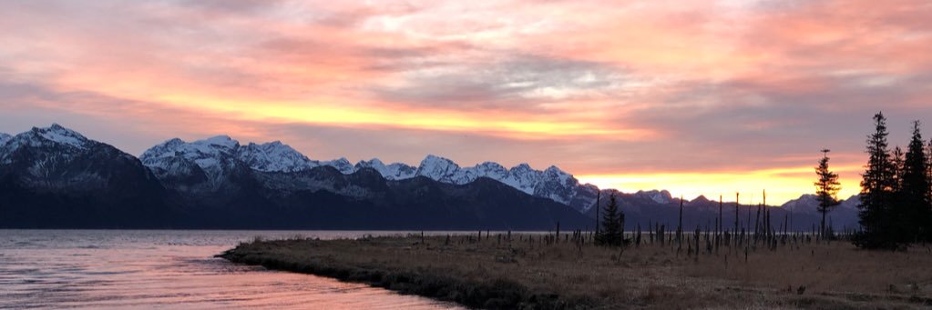 DMAXisWELL's profile banner image