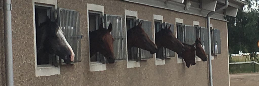 andrew kidney banner