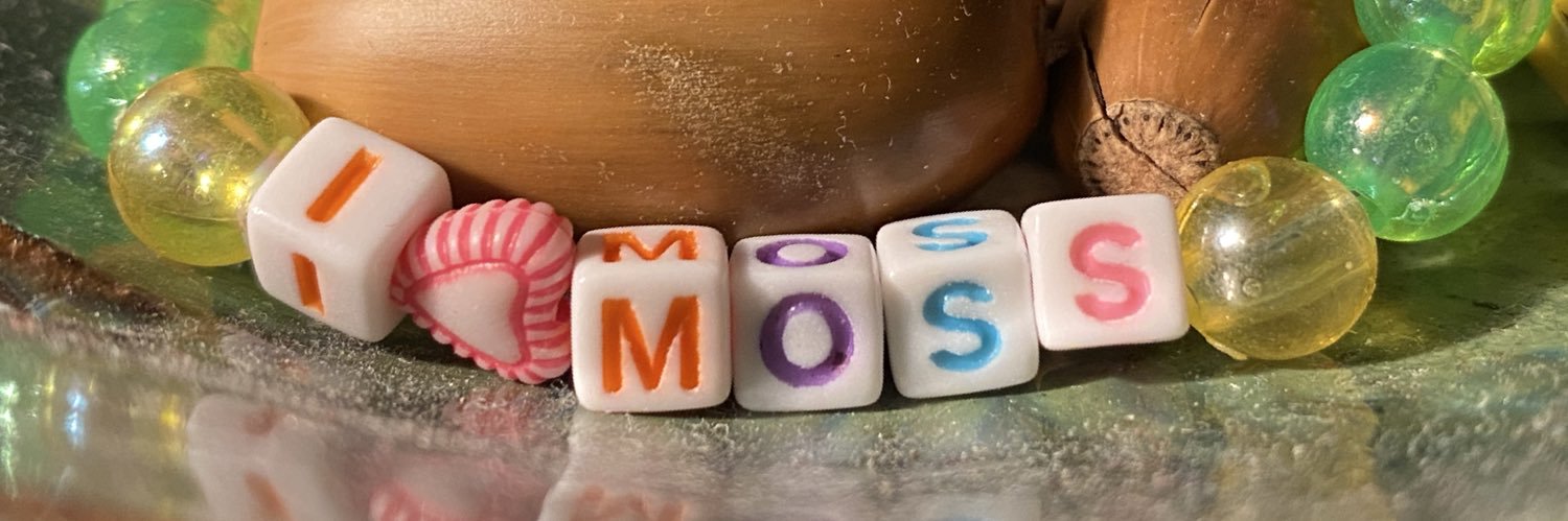 head-in-the-clouds.bsky.social banner