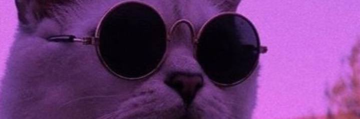 j40zo's profile banner image