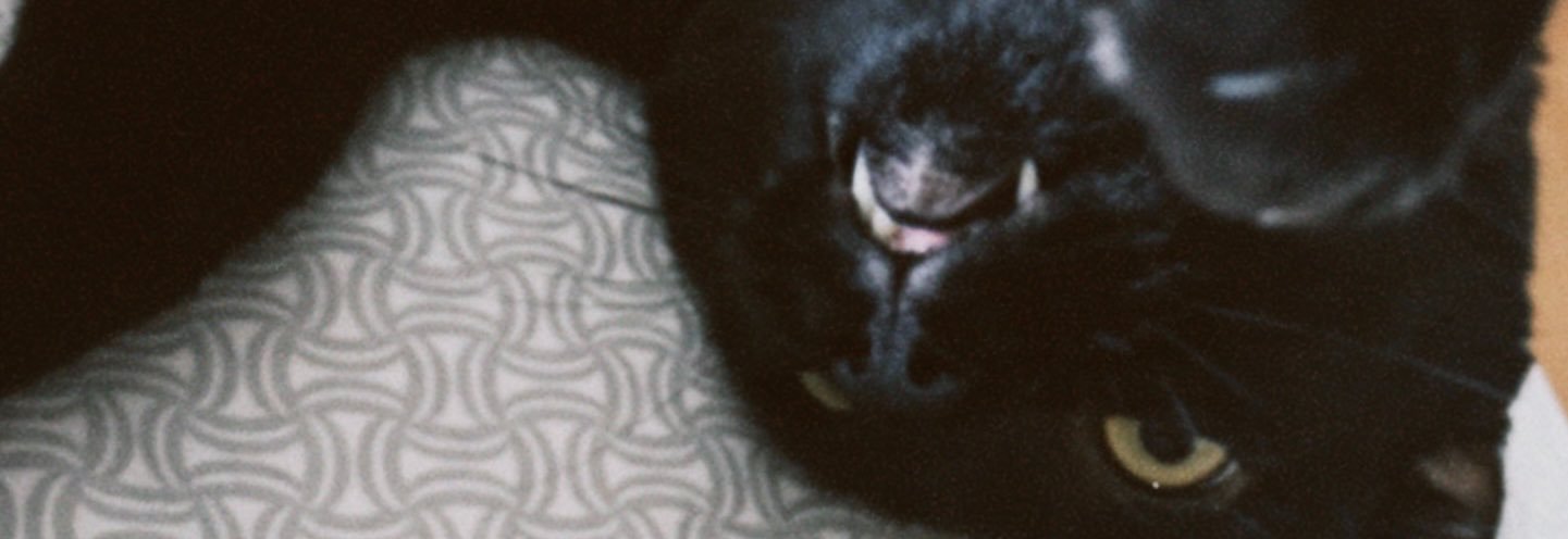 dansd30's profile banner image