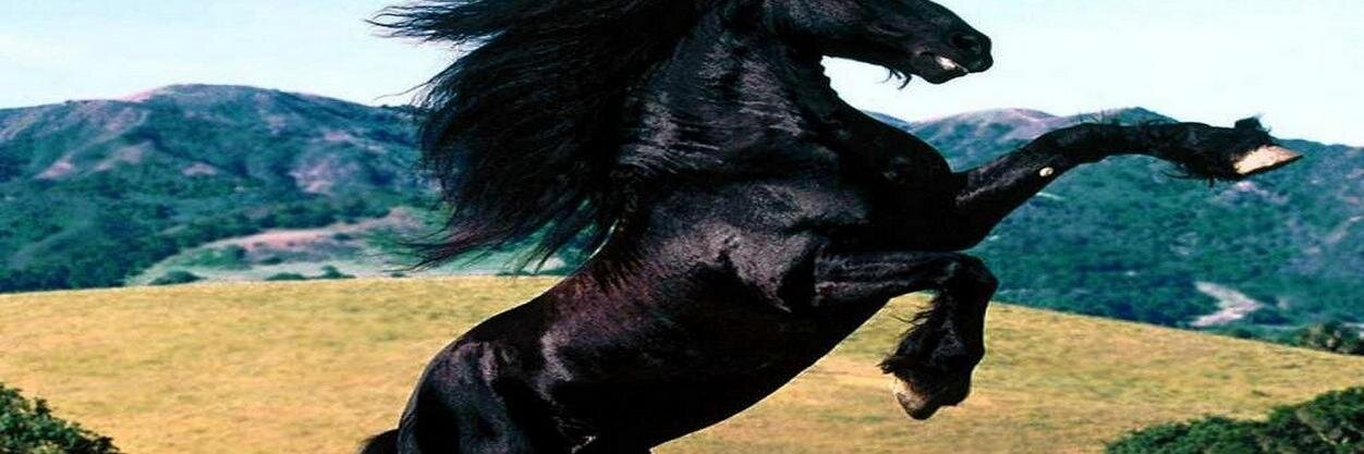 respaybarza's profile banner image