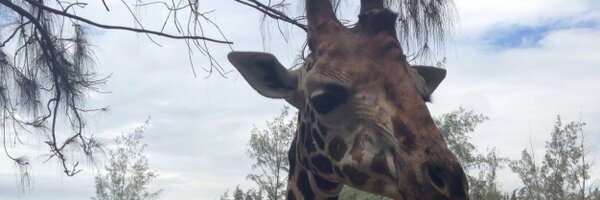 Rtupperz Profile Banner