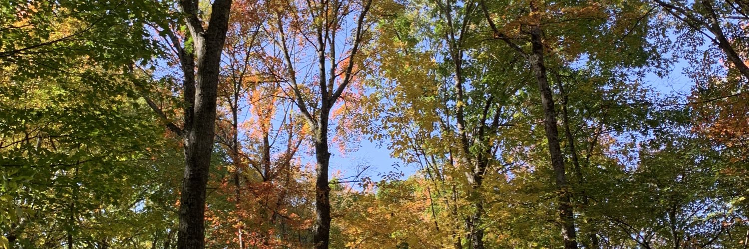 honkshoe mimimimi banner