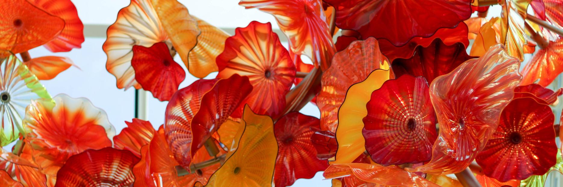 Lauren Hagler, PhD banner