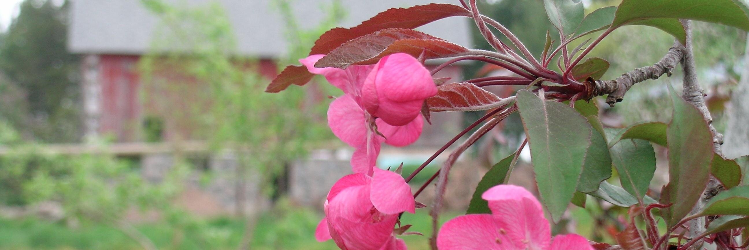 BakerOrchard's profile banner image
