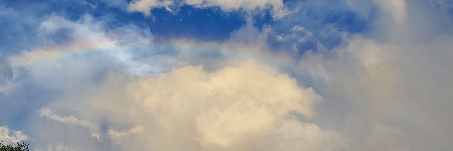 桜's banner