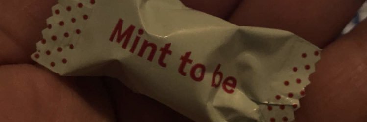 SmokingWithWolf's profile banner image