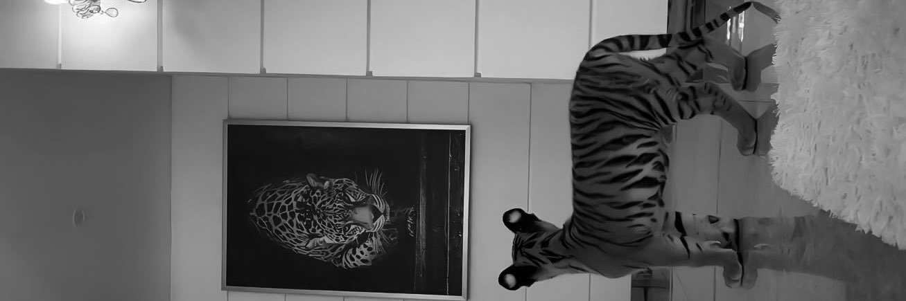 zoetoledo_'s profile banner image