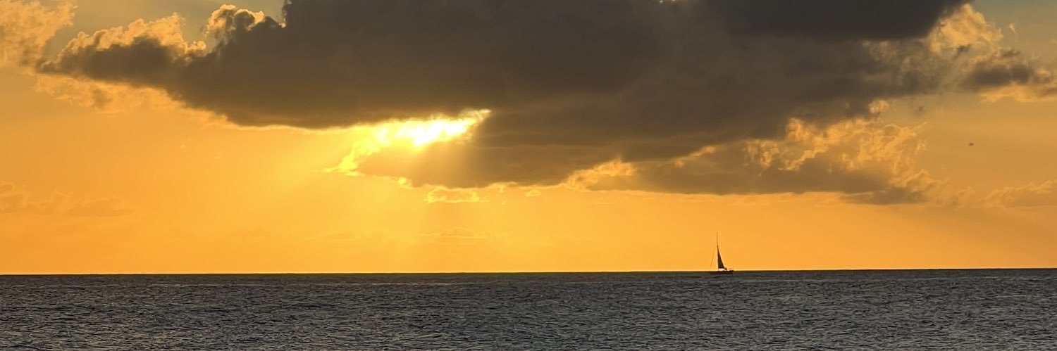 Thierry Parienty banner