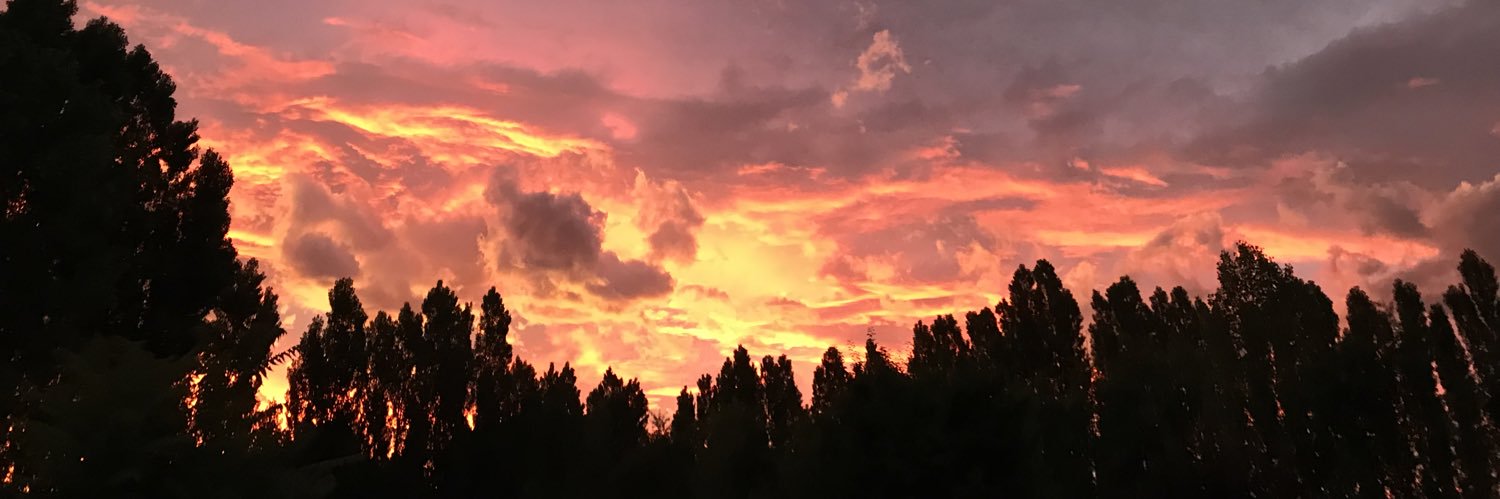 NicolMoya3's profile banner image