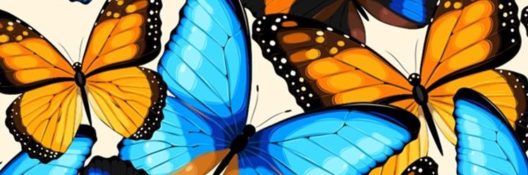 lincoleman91's profile banner image