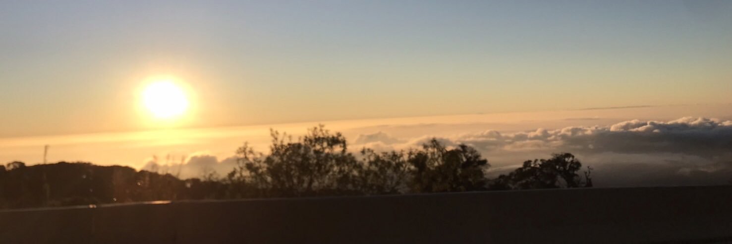 PAOAPla's profile banner image