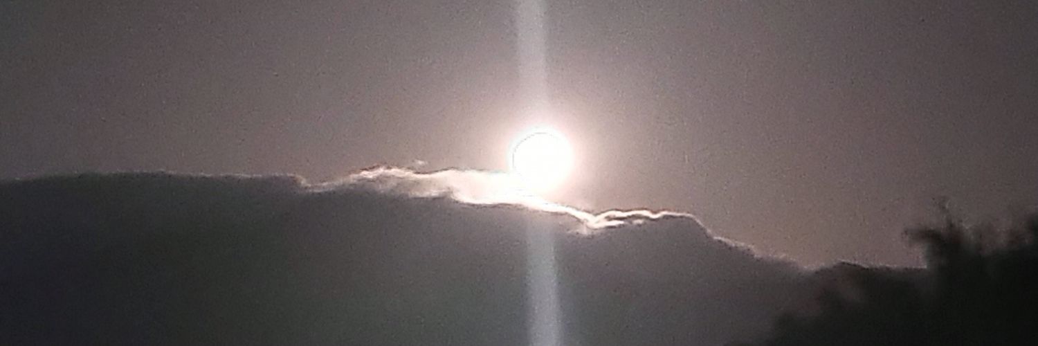 Carvalhojr01's profile banner image