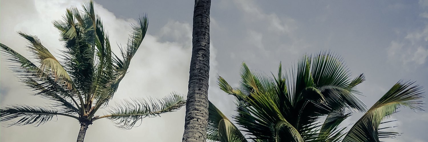 florloverr's profile banner image