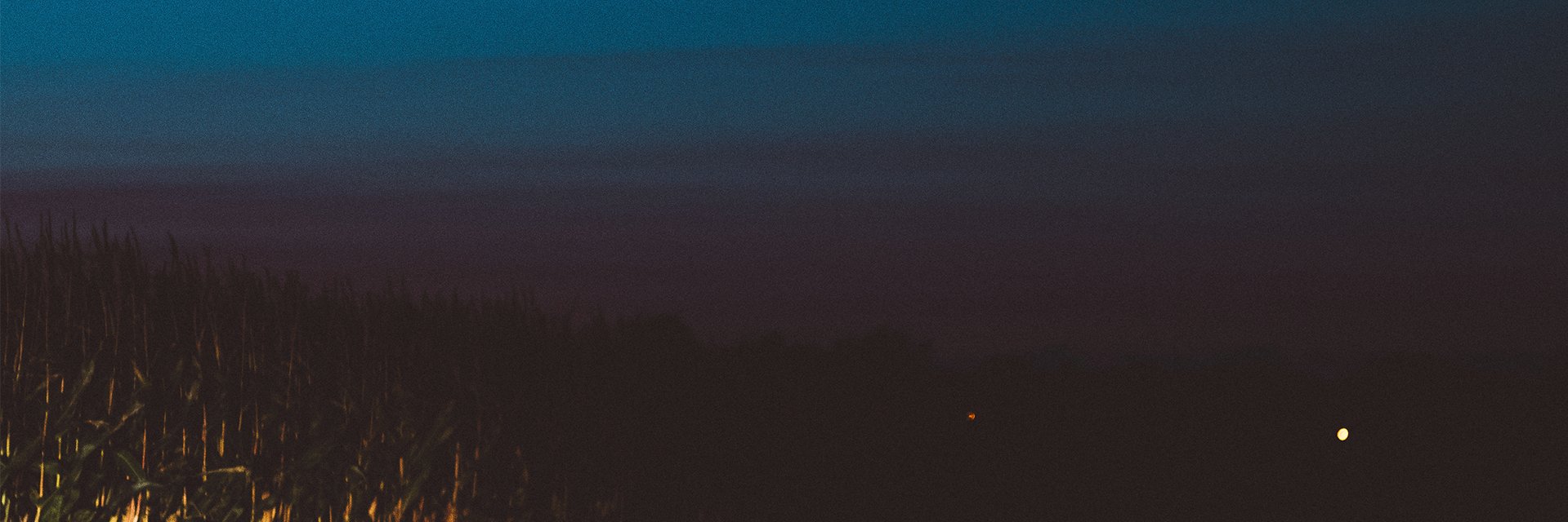 munkicloud's profile banner image