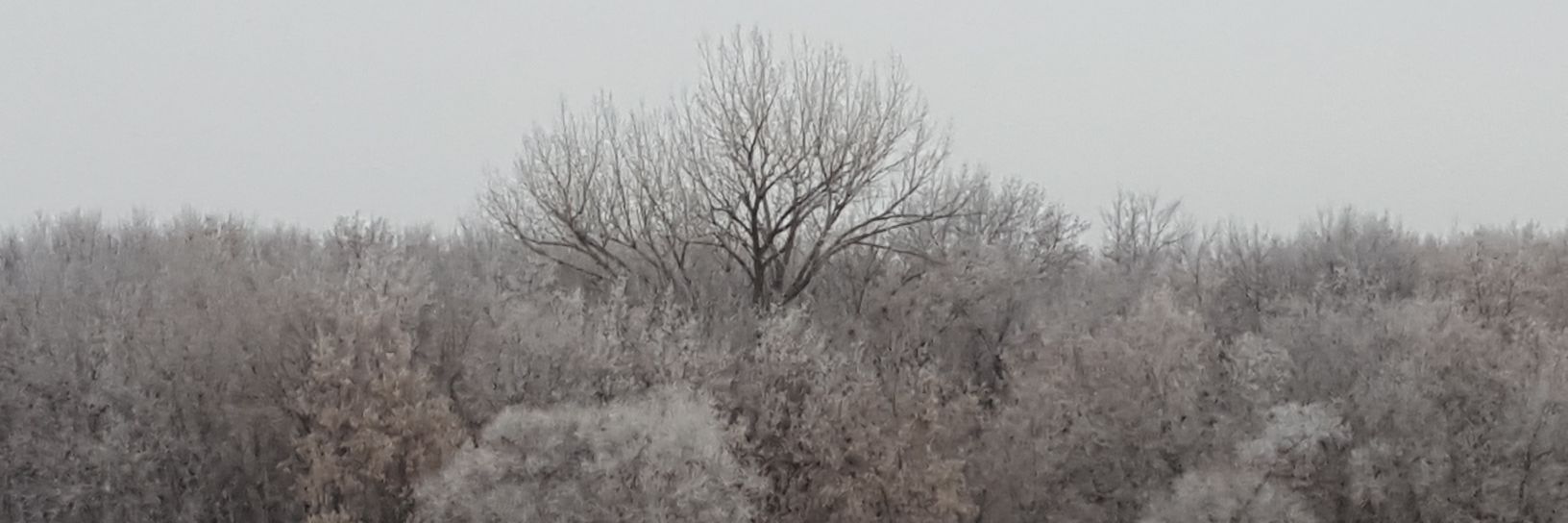 andiegreiff's profile banner image
