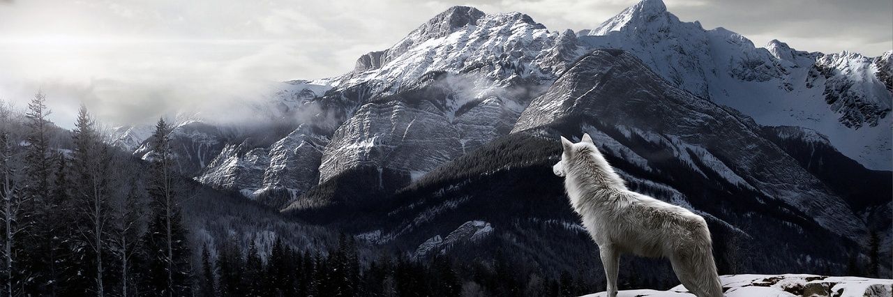 Pieter90c's profile banner image