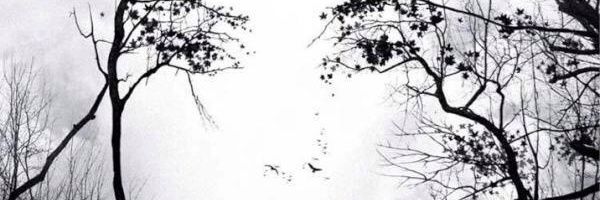 kayan_ba's profile banner image