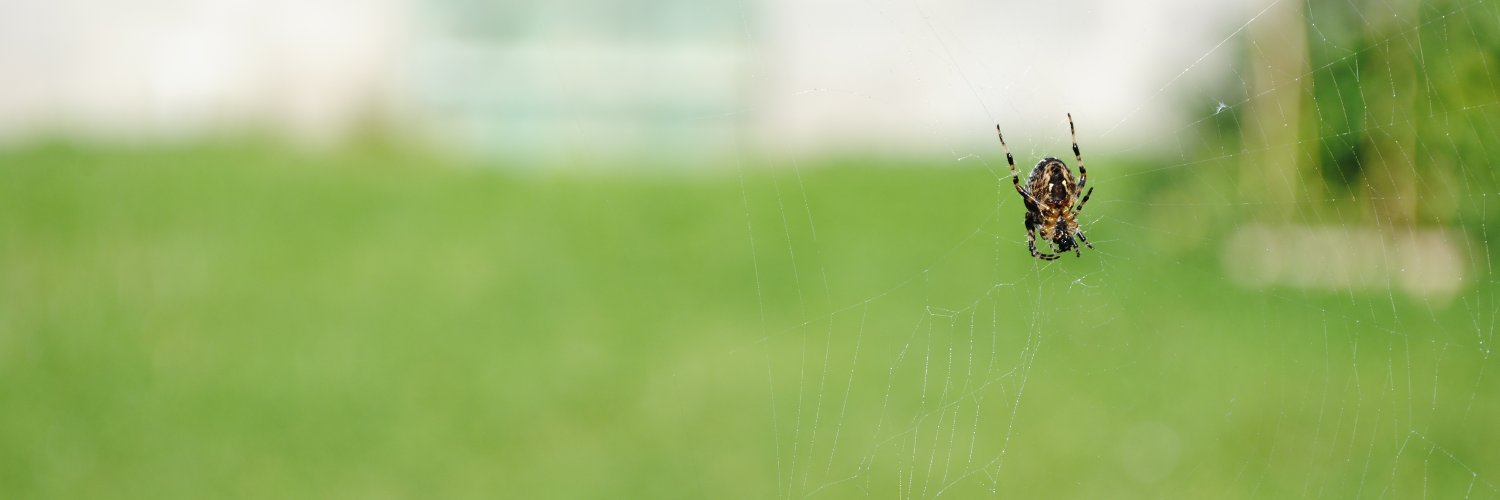 padrg's profile banner image