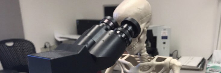 Rak_lee's profile banner image