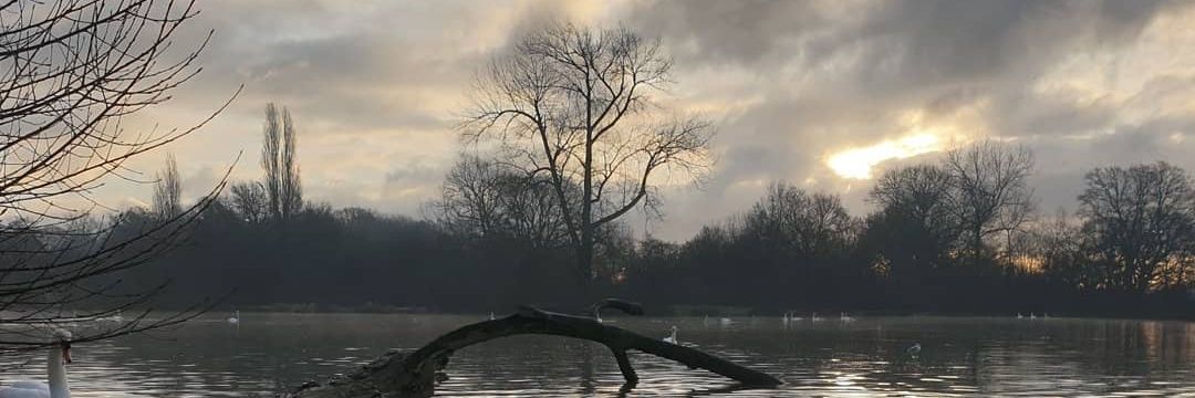 marcglawson's profile banner image