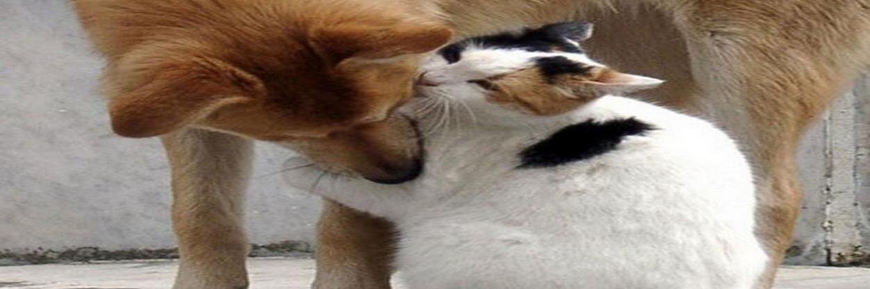 jugphymiti's profile banner image