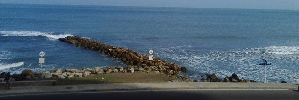 anahi_ca's profile banner image