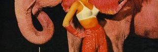 Alex Avril Klein banner