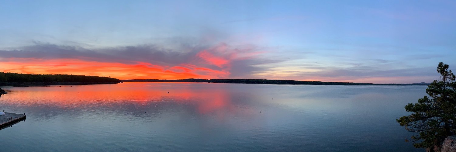 John Musgrove banner