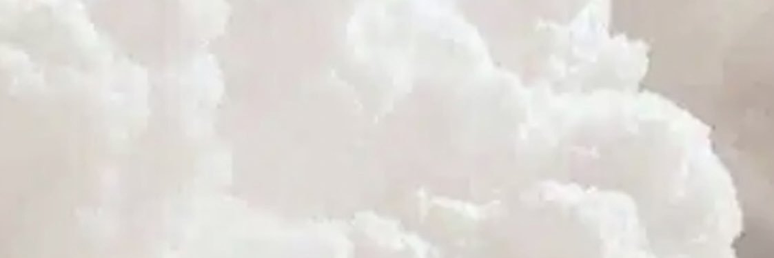 katianarayanne's profile banner image