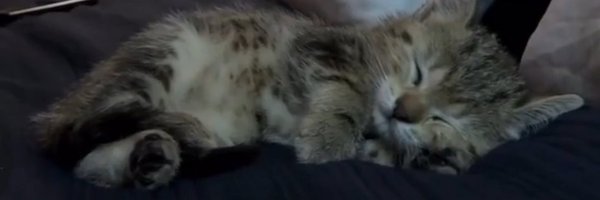 yoimiya_xiv Profile Banner