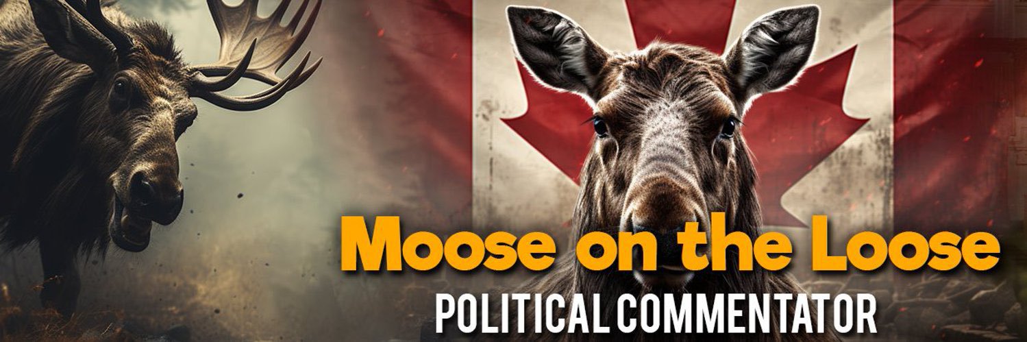 Moose on the Loose banner